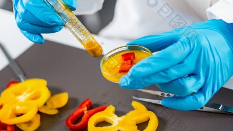 避坑指南：如何避免选择“假冒”有机食材